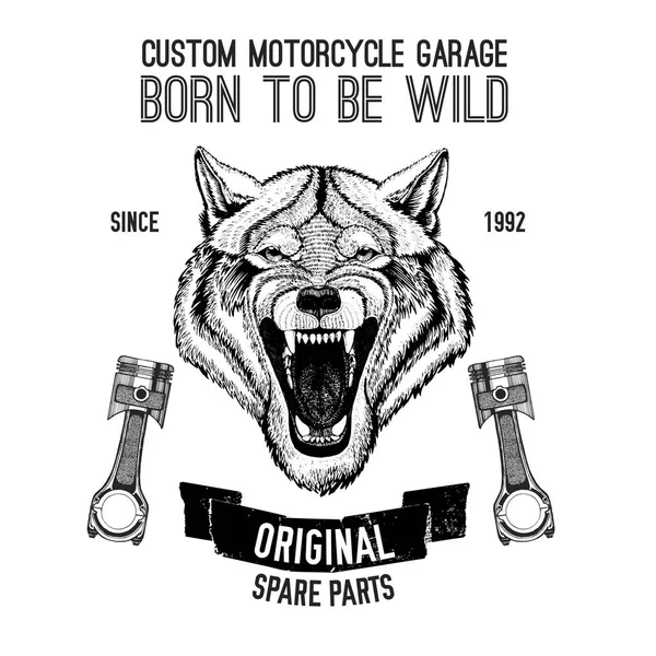 Wild wolf Imagen vectorial para camiseta de motocicleta, tatuaje, club de motocicletas, logotipo de la motocicleta — Vector de stock