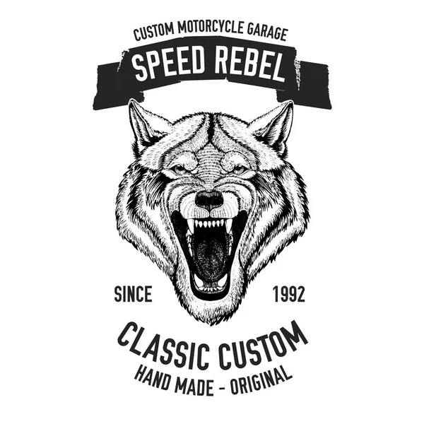 Imagem do vetor do lobo selvagem para a motocicleta t-shirt, tatuagem, motocicleta clube, logotipo da motocicleta — Vetor de Stock