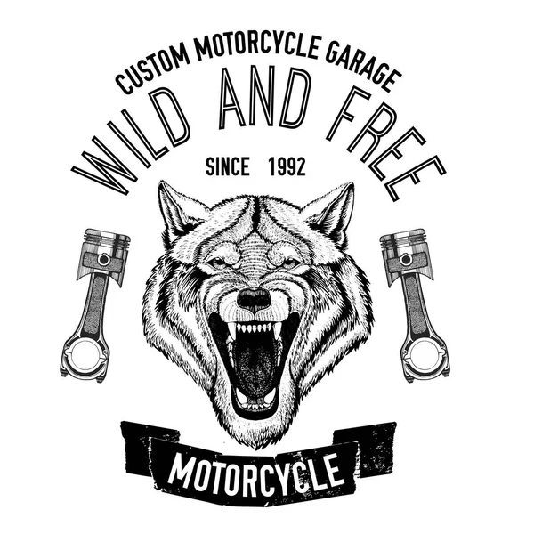 Imagem do vetor do lobo selvagem para a motocicleta t-shirt, tatuagem, motocicleta clube, logotipo da motocicleta — Vetor de Stock