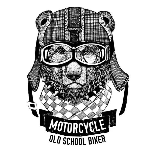 Wildbär für Motorrad, Biker T-Shirt — Stockfoto
