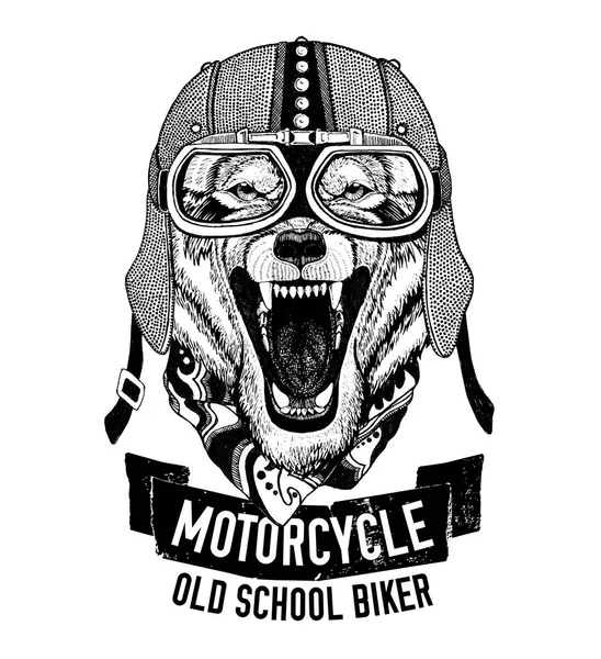 Wild WOLF for motorcycle, biker t-shirt Stock Photo