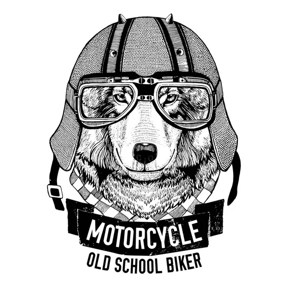 Wild WOLF for motorcycle, biker t-shirt Stock Photo