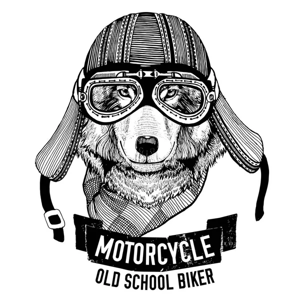 Wild WOLF for motorcycle, biker t-shirt Royalty Free Stock Images
