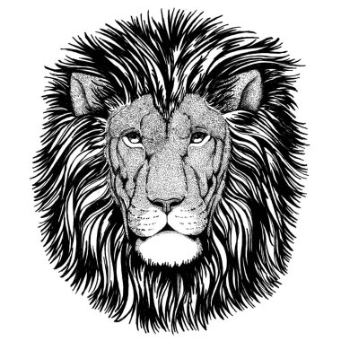 Vahşi kedi vahşi aslan el çizilmiş resim t-shirt, posterler için