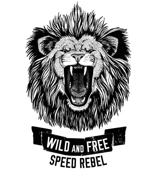 Lew dziki dziki kot jest dziki i wolna T-shirt godło, szablon motocyklowe, motocyklowe projekt ręka rysowane ilustracja — Zdjęcie stockowe