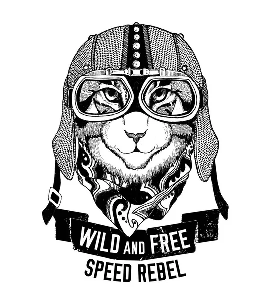 Дикая кошка Дикая кошка Дикая и свободная эмблема футболки, шаблон байкера, дизайн мотоцикла Ручная иллюстрация — стоковое фото