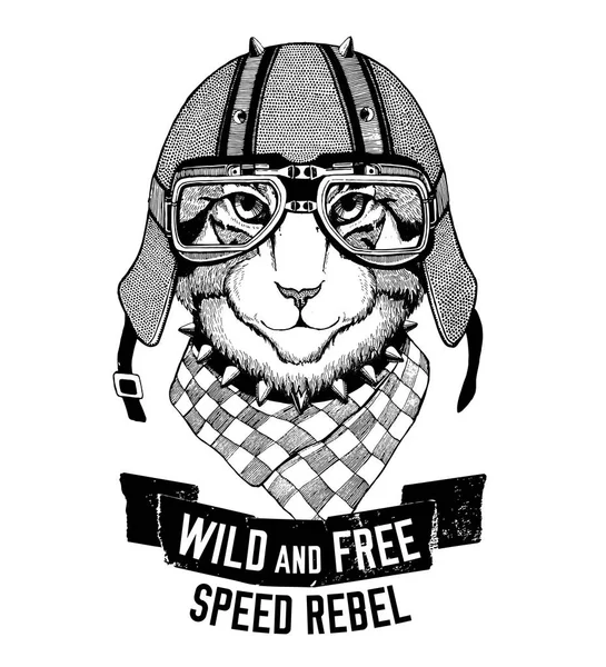 Gato selvagem Gato selvagem Seja selvagem e livre T-shirt emblema, modelo Motociclista, projeto da motocicleta ilustração desenhada à mão — Fotografia de Stock