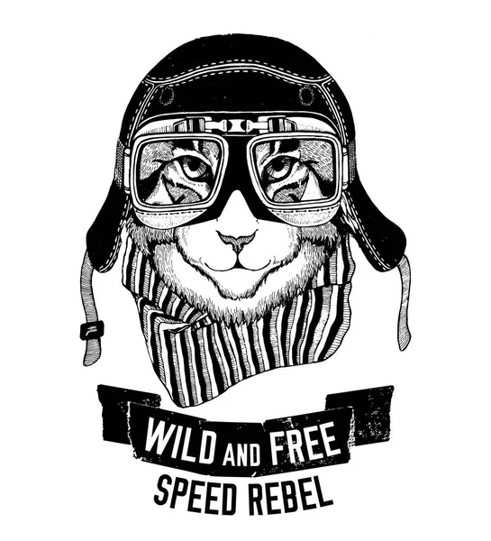 Wilde Katze wilde Katze sein wild und frei T-Shirt Emblem, Vorlage Biker, Motorrad-Design handgezeichnete Illustration — Stockfoto