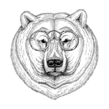 Şık kutup ayısı görüntü dövme, logo, amblem, rozet tasarım cool