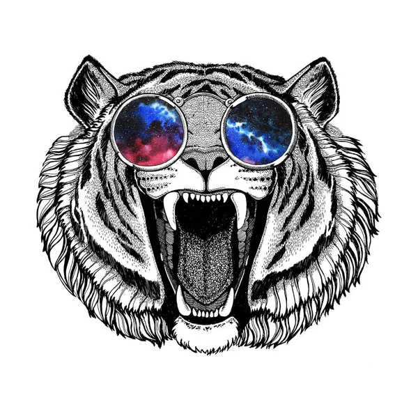 Tigre enojado con gafas hippie Hipster animal Imagen para tatuaje, logotipo, emblema, diseño de insignia — Foto de Stock