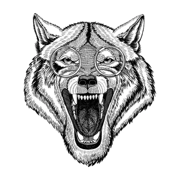 Hippie, le loup hipster portant des lunettes. Loup en colère Image pour le tatouage, logo, emblème, conception de badge — Photo