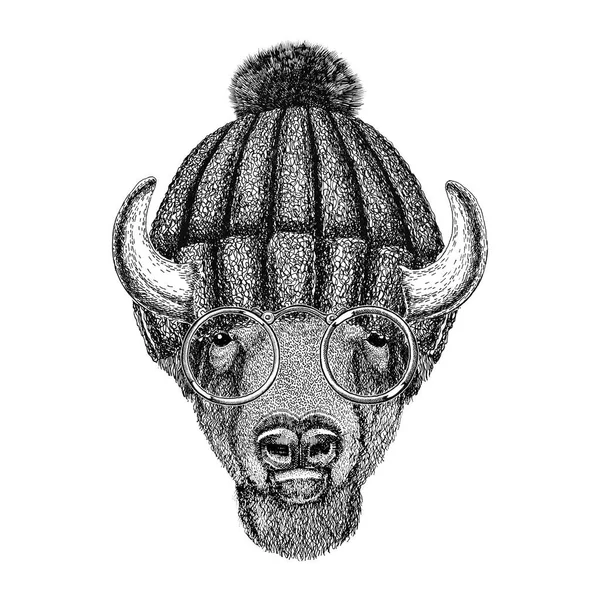 Hipster Bison indossa occhiali e cappello a maglia invernale — Foto Stock
