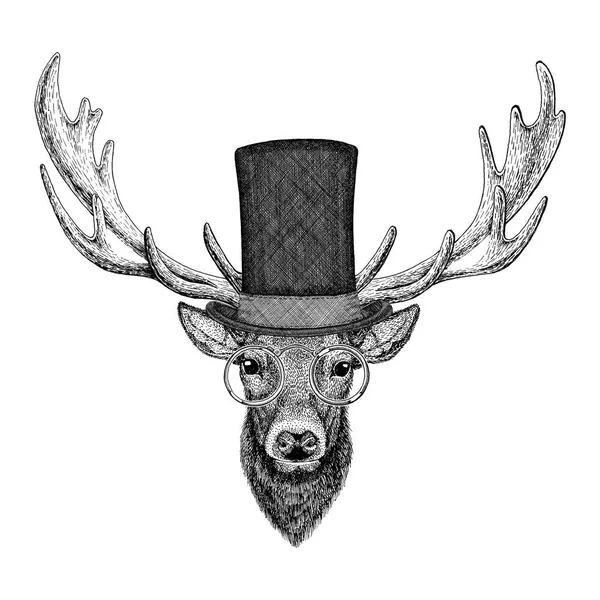Serin moda geyik Hipster hayvan Vintage tarzı Illustration dövme, logo, amblem, rozet tasarım için — Stok fotoğraf