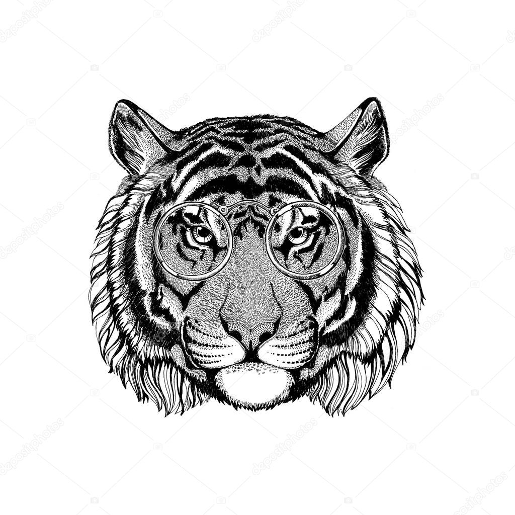 Wild tiger wearing hippie glasses Hipster animal Picture for tattoo, logo, emblem, badge design