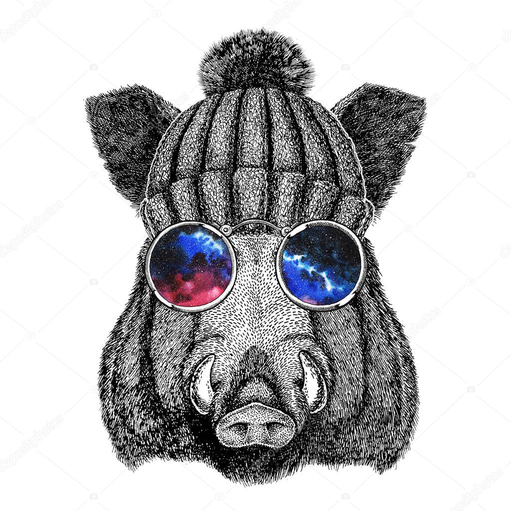 Cool boar picture for beer branding, food branding, posters Fashionable illustration for tattoo, logo, emblem, badge design
