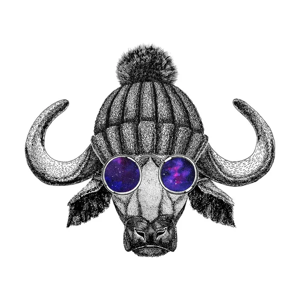 Buffalo usando óculos hipster e chapéu de malha Imagem de bisonte, touro, búfalo para tatuagem, logotipo, emblema, design de crachá — Fotografia de Stock