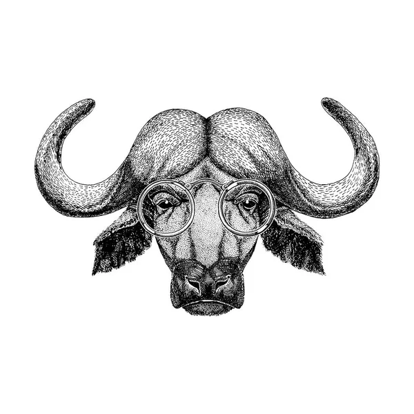 Буффало в винтажных очках Изображение бизона, быка, буйвола для татуировки, логотипа, эмблемы, дизайна значка — стоковое фото