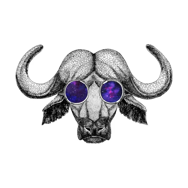 Buffalo portant des lunettes hipster Image de bison, taureau, buffle pour tatouage, logo, emblème, conception de badge — Photo