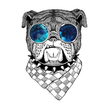Bulldog görüntü dövme, logo, amblem, rozet tasarım için