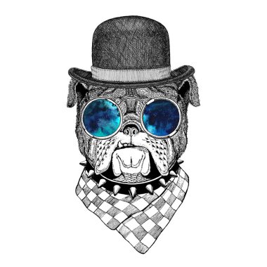 Bulldog görüntü dövme, logo, amblem, rozet tasarım için