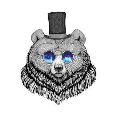 Kuzey Amerika boz ayısı Hipster stil hayvan görüntü dövme, logo, amblem, rozet tasarım için