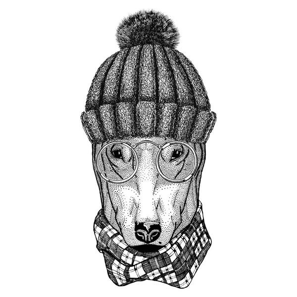 Hipster köpek boğa korkunç görüntü dövme, logo, amblem, rozet tasarım için — Stok fotoğraf