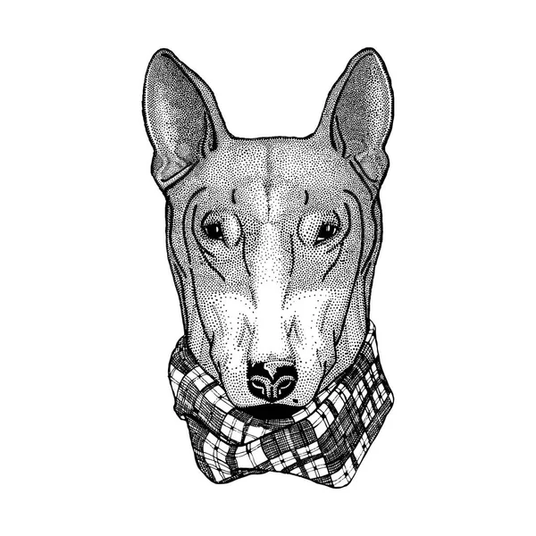 Hipster hund bullterrier bild för tatuering, logotyp, emblem, badge design — Stockfoto