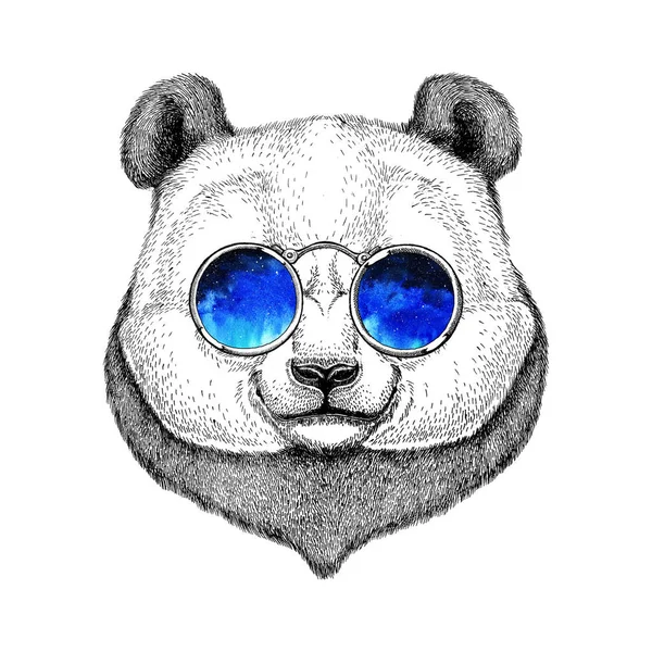 Panda logo Stock Photos, Royalty Free Panda logo Images | Depositphotos