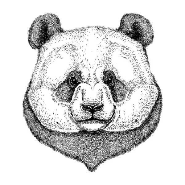 Hipster Panda niedlicher Bambusbär zum tätowieren, logo, emblem, abzeichen design — Stockfoto