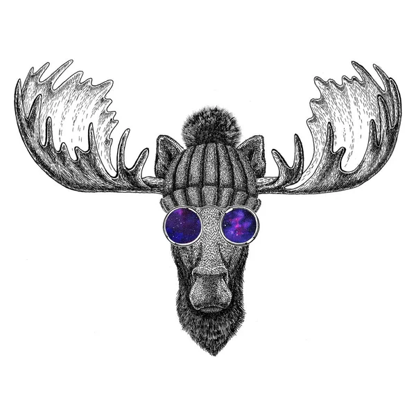 Hipster moose, elk wearing knitted hat and glasses Image for tattoo, logo, emblem, badge design — Stock Photo, Image