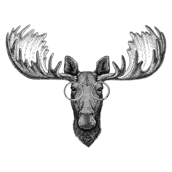 Hipster moose, elk wearing glasses Image for tattoo, logo, emblem, badge design — Stock Photo, Image