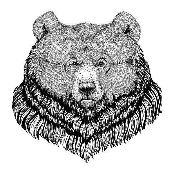 Grizzly bear Hipster style animal Image for tattoo, logo, emblem, badge design — Stock Photo, Image