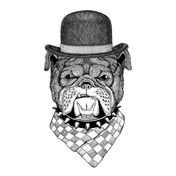 Bulldog Imagen para tatuaje, logotipo, emblema, diseño de insignia —  Fotos de Stock