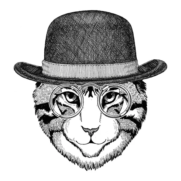 Gato selvagem fresco Estilo de Hipster animal elegante Ilustração vintage Imagem para tatuagem, logotipo, emblema, design de crachá — Fotografia de Stock