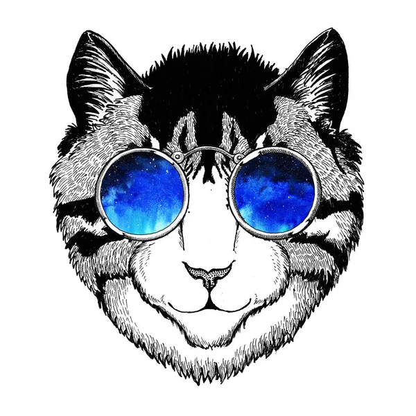Cool wild cat Fashionable animal Hipster style Vintage illustration Image for tattoo, logo, emblem, badge design