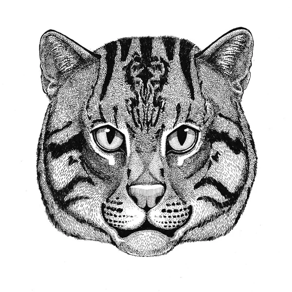 Gato salvaje gato de pesca ilustración dibujada a mano para tatuaje, emblema, insignia, logotipo, parche — Foto de Stock