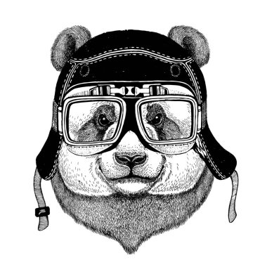 Motosiklet, Bisiklet, motosiklet, scooter kulübü, aero club için t-shirt tasarım için ayı panda Vintage görüntüleri