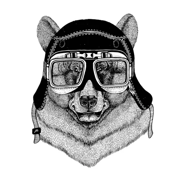 Vintage images of black Bear for t-shirt design for motorcycle, bike, motorbike, scooter club, aero club — Stock Photo, Image