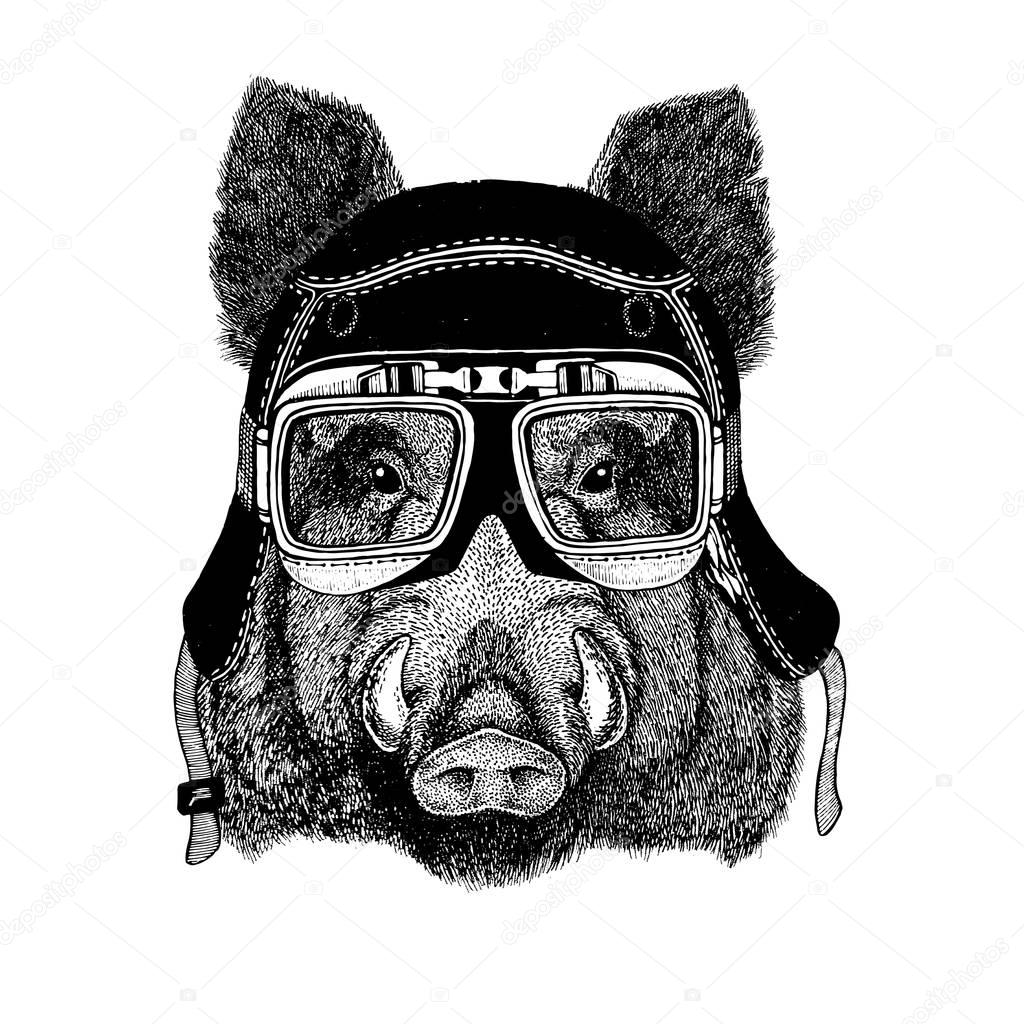 Vintage images of Hog for t-shirt design for motorcycle, bike, motorbike, scooter club, aero club