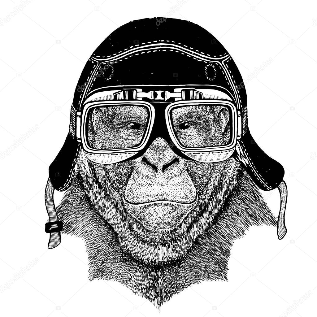 Vintage images of gorilla monkey for t-shirt design for motorcycle, bike, motorbike, scooter club, aero club