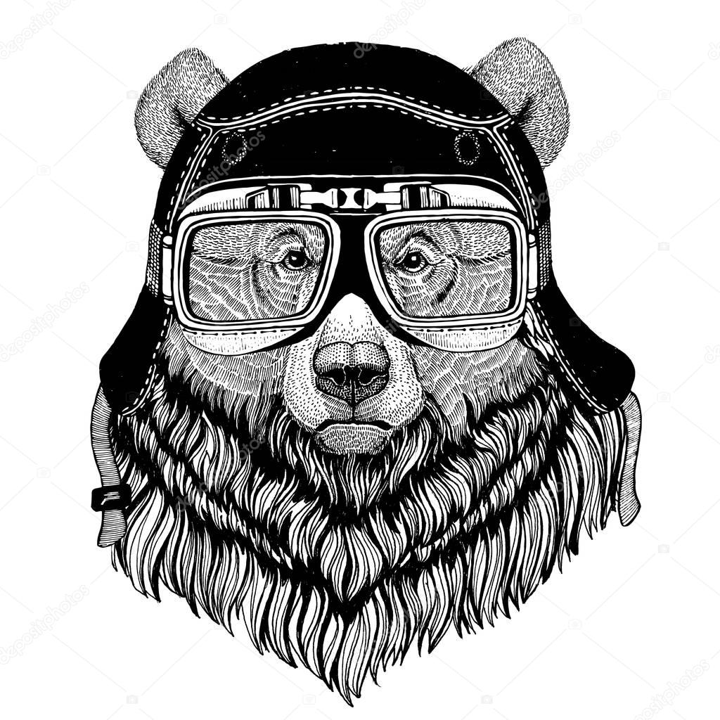 Vintage images of Grizzly bear for t-shirt design for motorcycle, bike, motorbike, scooter club, aero club