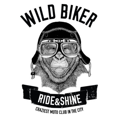 Motosiklet, Bisiklet, motosiklet, scooter kulübü, aero club için t-shirt tasarım için goril maymun Vintage görüntüleri