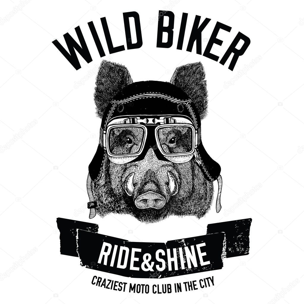 Vintage images of Hog for t-shirt design for motorcycle, bike, motorbike, scooter club