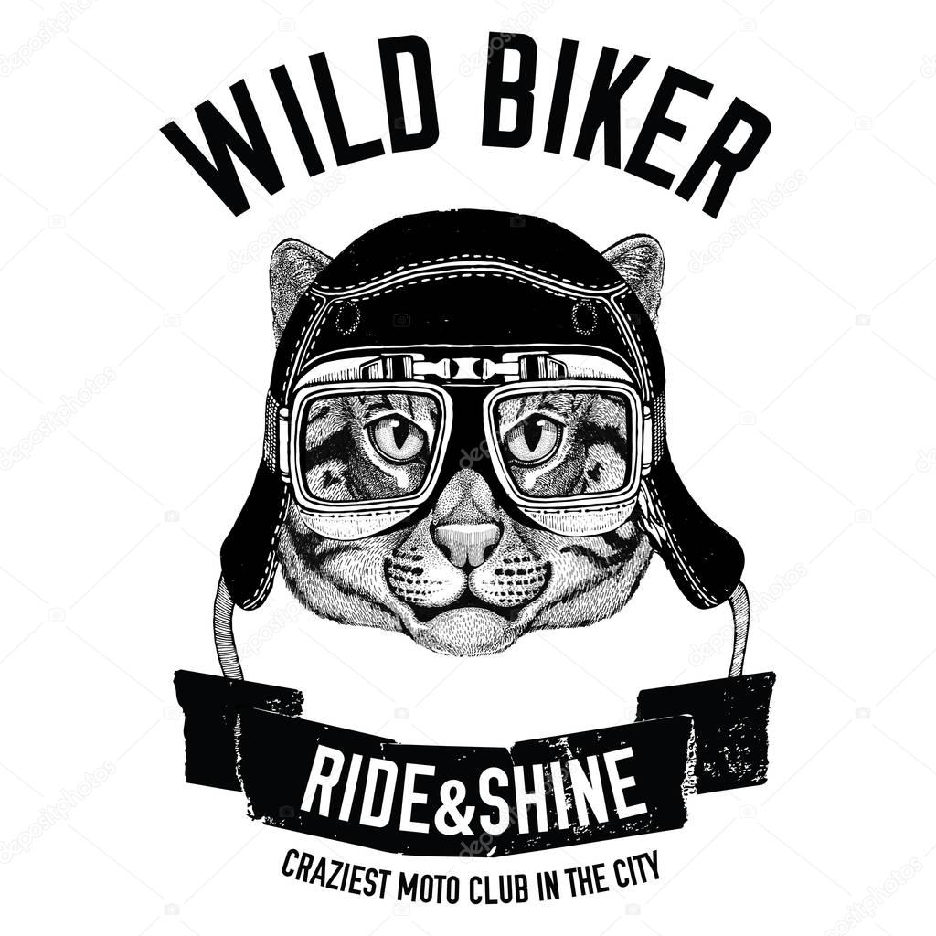 Vintage images of fishing cat for t-shirt design for motorcycle, bike, motorbike, scooter club, aero club