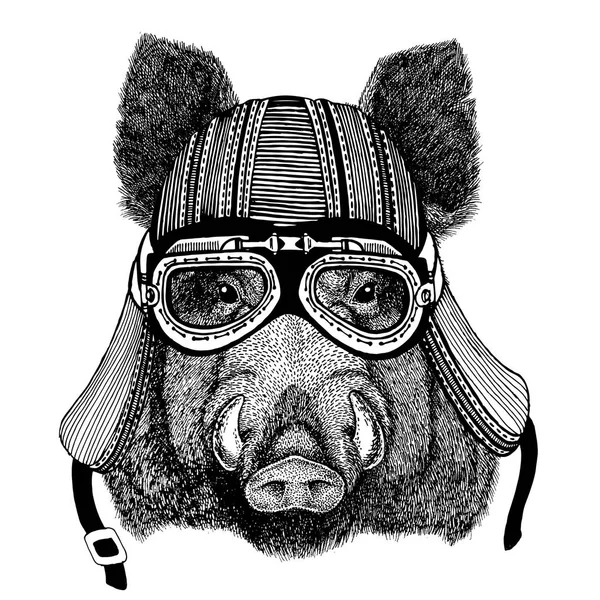 Aper, javali, porco, prancha selvagem, javali, porco, javali Imagem desenhada à mão do animal usando capacete de motocicleta para t-shirt, tatuagem, emblema, crachá, logotipo, patch — Fotografia de Stock
