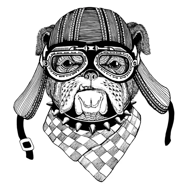 Bulldog Dog Imagen dibujada a mano de un animal que usa casco de motocicleta para camiseta, tatuaje, emblema, insignia, logotipo, parche —  Fotos de Stock