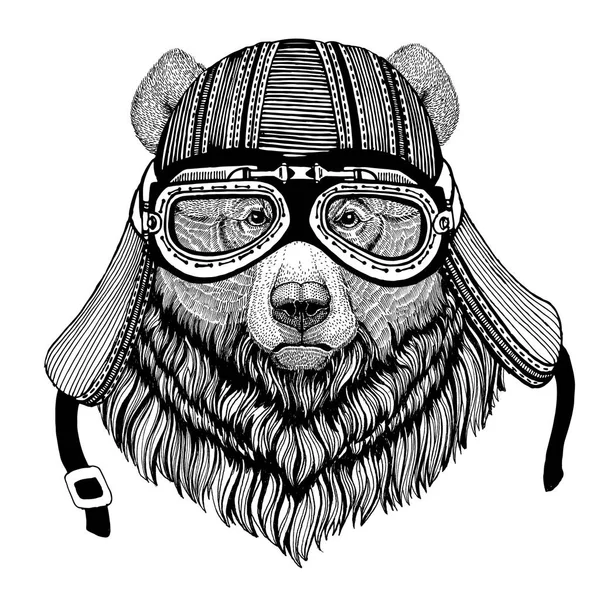Oso pardo Gran oso salvaje Imagen dibujada a mano de un animal que usa casco de motocicleta para camiseta, tatuaje, emblema, insignia, logotipo, parche —  Fotos de Stock