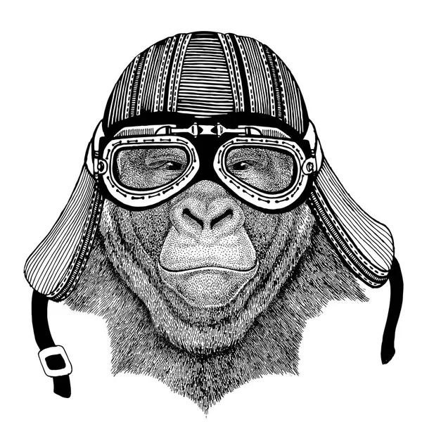 Gorilla, scimmia, scimmia Immagine disegnata a mano di animali che indossano casco moto per t-shirt, tatuaggio, emblema, distintivo, logo, patch — Foto Stock