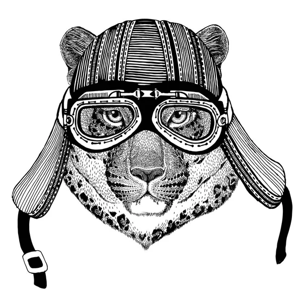 Vild katt Leopard katt-o-berg Panther Hand dras bild av djuret bär motorcykelhjälm för t-shirt, tatuering, emblem, badge, logotyp, patch — Stockfoto