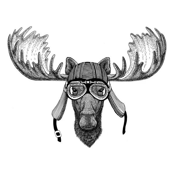 Moose, alce Imagen dibujada a mano de un animal que usa casco de motocicleta para camiseta, tatuaje, emblema, insignia, logotipo, parche —  Fotos de Stock